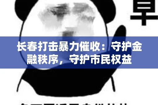 长春打击暴力催收：守护金融秩序，守护市民权益