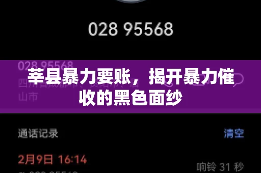 莘县暴力要账，揭开暴力催收的黑色面纱