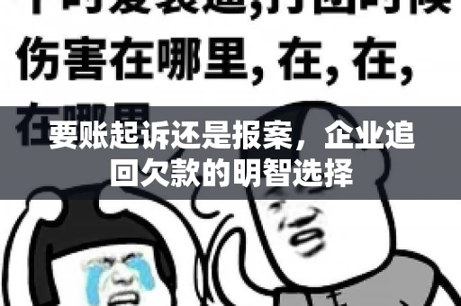 要账起诉还是报案,企业追回欠款的明智选择 要账起诉还是报案,企业追回欠款的明智选择