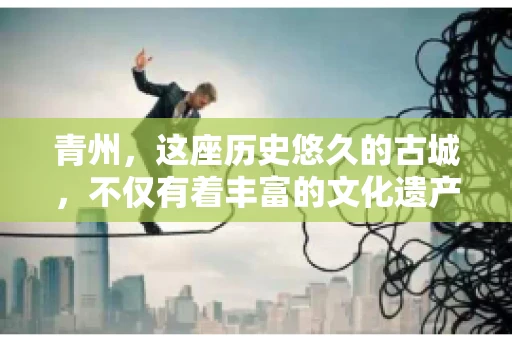 青州，这座历史悠久的古城，不仅有着丰富的文化遗产，还有着繁忙的经济活动。在商业往来中，难免会遇到一些欠款问题，这时候，找一家专业的要账公司就显得尤为重要。那么，青州有帮人要账的吗？答案是肯定的。下面，我就来为大家详细介绍一下青州地区的要账服务。