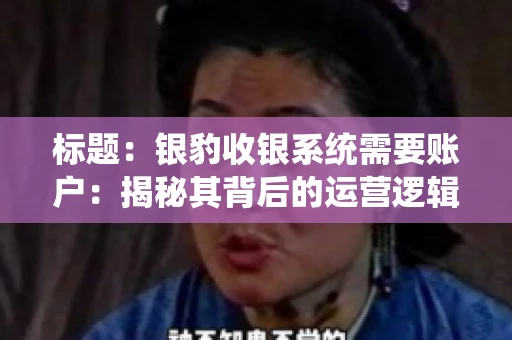 标题：银豹收银系统需要账户：揭秘其背后的运营逻辑