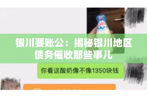 银川要账公：揭秘银川地区债务催收那些事儿